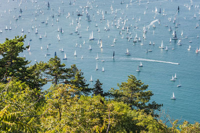 High angle view of trees and plants by sea