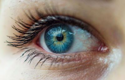 Extreme close-up of woman eye