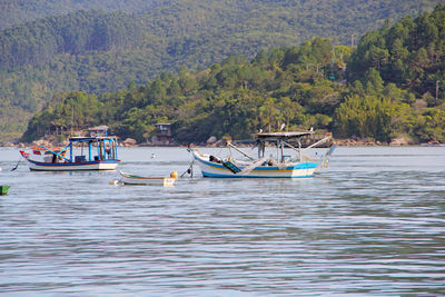 Boats moored in lake against trees