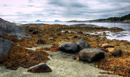 Rocks on shore against sky