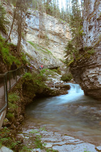 Stream flowing through rocks in forest