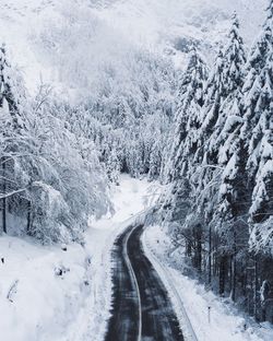 Snow covered road amidst trees during winter