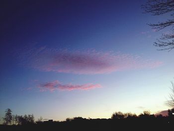 Silhouette of trees at sunset