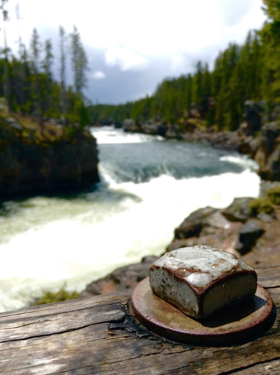 focus on foreground, close-up, tree, wood - material, tranquility, water, selective focus, nature, tranquil scene, rock - object, day, outdoors, metal, log, lake, rusty, stone - object, sky, no people, wooden