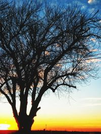 Silhouette bare tree against sky during sunset