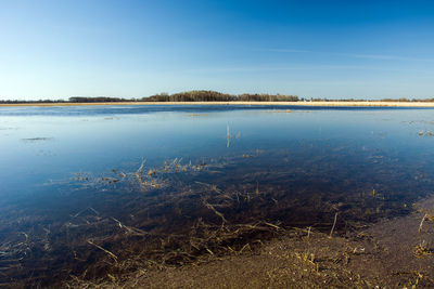 Scenic view of lake against clear blue sky