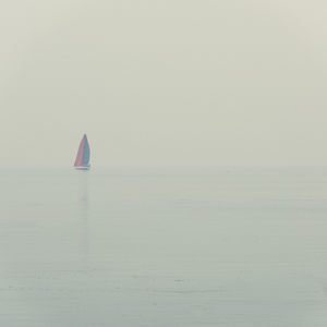 Sailboat sailing in sea against clear sky