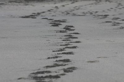 Close-up of sand on beach against sky