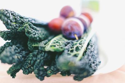 Close-up of fruits in plate