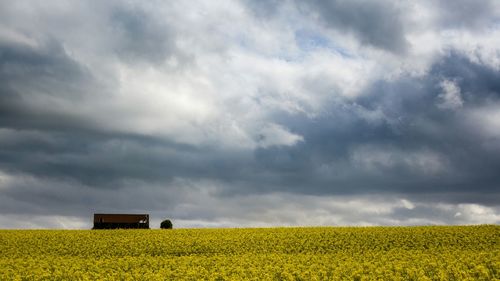 Scenic view of field against cloudy sky