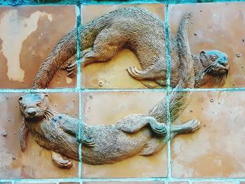 Close-up of an animal representation on wall