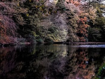 Reflection of trees in lake against sky