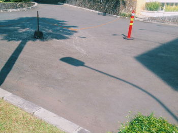 Shadow of tree on grass