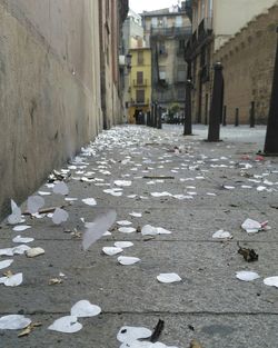 Cobblestone street amidst buildings