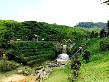 Scenic view of green landscape against sky