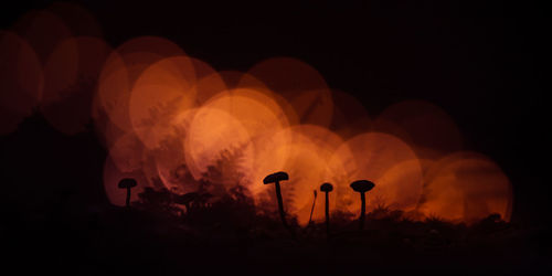An artistic silhouettes of small mushrooms with colorful bokeh in the background. 