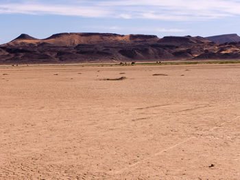 Scenic view of desert against sky