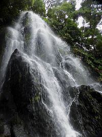 Scenic view of waterfall