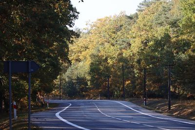 Empty road amidst trees against sky