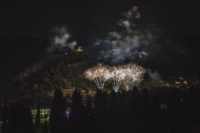 Firework display at night