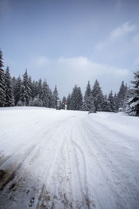 Snow covered road amidst trees against sky