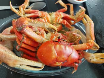 Close-up of seafood in plate