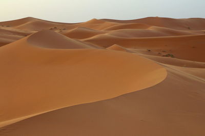 Sand dunes in desert