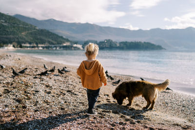 Rear view of dog standing at beach