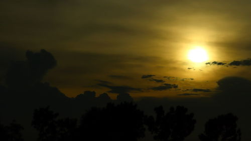 Low angle view of silhouette trees against sky during sunset