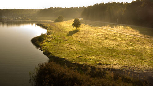 Scenic view of lake amidst trees