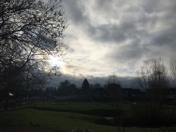 Bare trees on field against sky