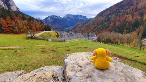 Scenic view of landscape against sky during autumn