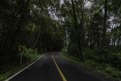 Empty road amidst trees in forest