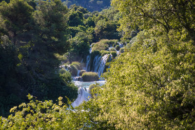 Scenic view of waterfall in forest