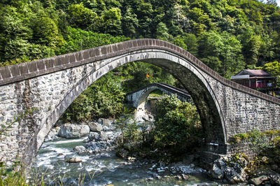 Arch bridge over river in forest