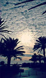 Silhouette palm trees against sky at sunset