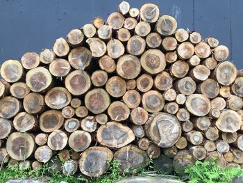 Stack of logs against wall