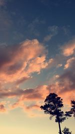 Low angle view of silhouette tree against sky