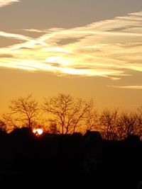 Silhouette of bare trees against sky at sunset