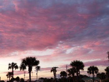 Low angle view of silhouette trees against sky during sunset