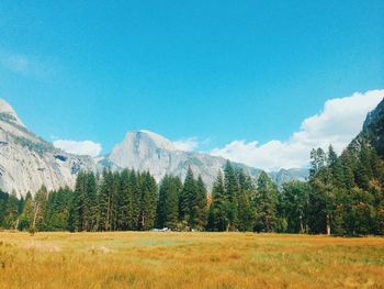 Scenic view of green landscape and mountains against sky