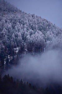 Scenic view of lake against clear sky