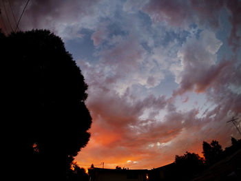 Low angle view of silhouette trees against dramatic sky
