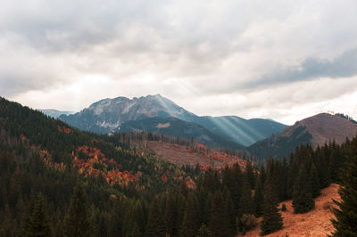 Scenic view of rocky mountains against cloudy sky on sunny day