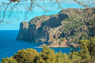 Scenic view of sea and trees against sky
