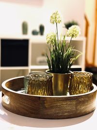 Close-up of potted plant on table at home