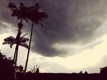 Low angle view of palm trees against cloudy sky