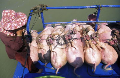 High angle view of woman standing in boat with pigs hanging from string