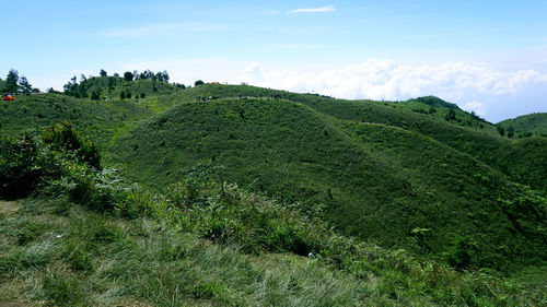 Scenic view of landscape against sky