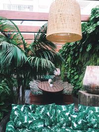 Potted plants on table against building